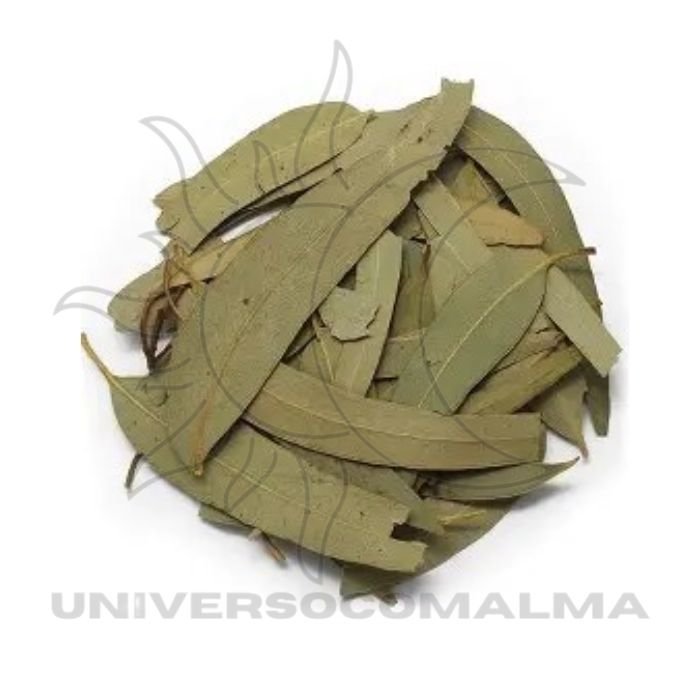 Eucalipto - 50g de Frescor e Renovação