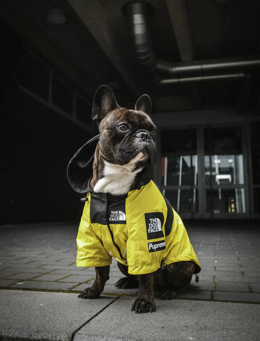 Waterproof Windbreaker Dog Jacket – Hooded Outdoor Raincoat for Dogs