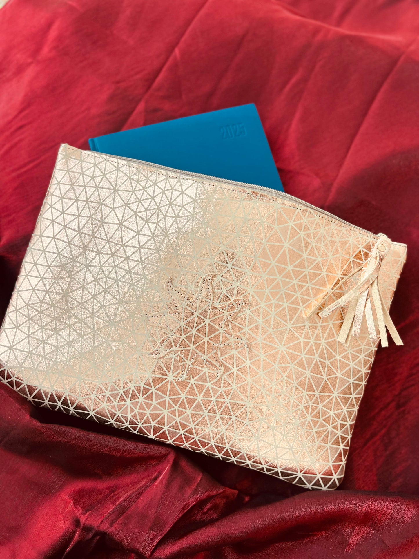 Pochette CLASSY PRO