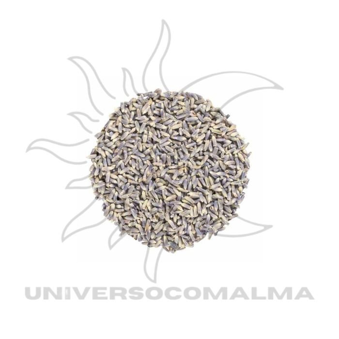 Alfazema Lavanda Seca 50g - Purificação e Proteção Espiritual | Universo com Alma