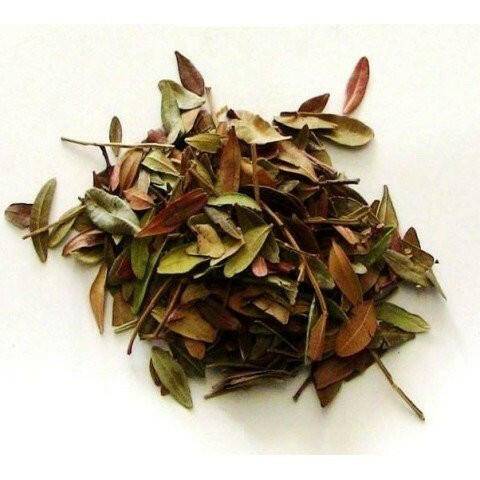 Aroeira – 50gr
