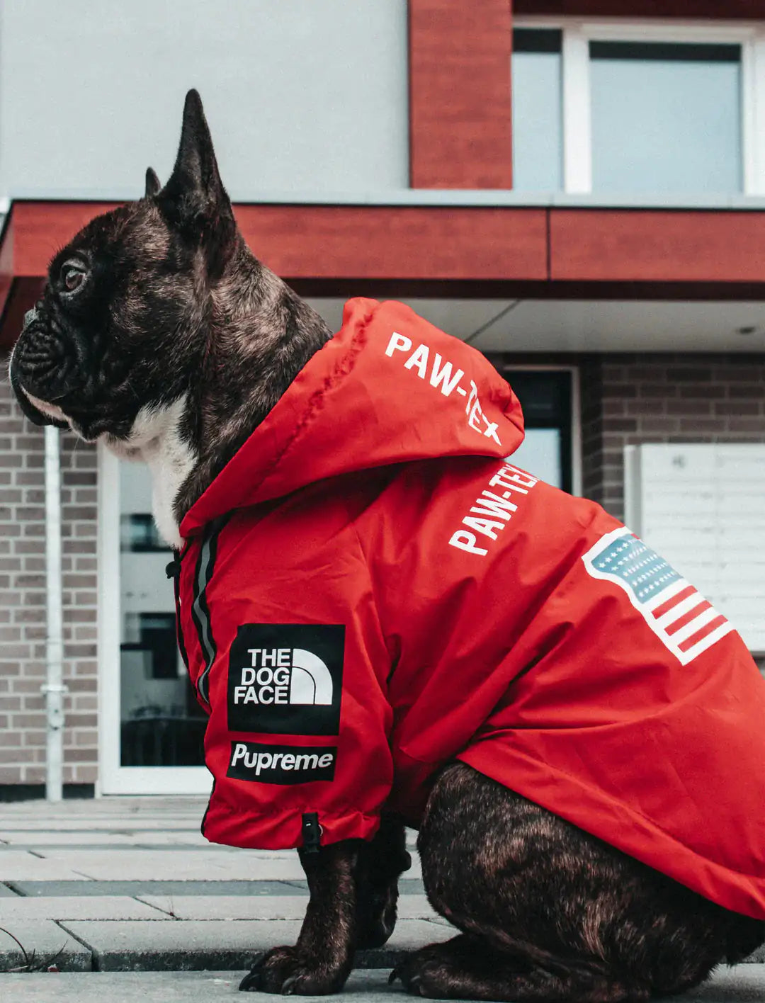 Waterproof Windbreaker Dog Jacket – Hooded Outdoor Raincoat for Dogs